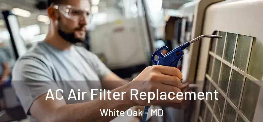  AC Air Filter Replacement White Oak - MD