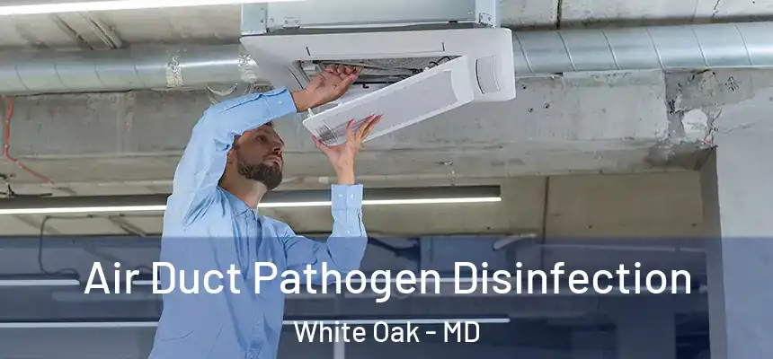  Air Duct Pathogen Disinfection White Oak - MD