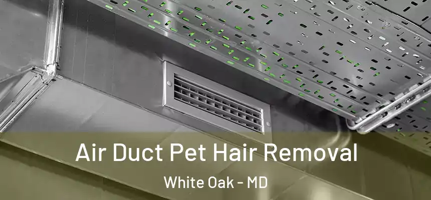  Air Duct Pet Hair Removal White Oak - MD