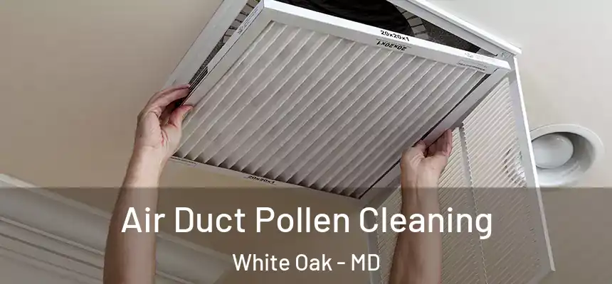  Air Duct Pollen Cleaning White Oak - MD