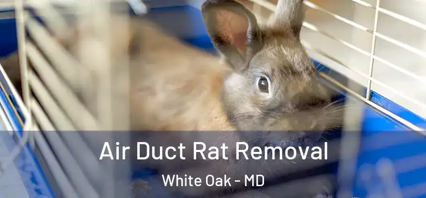  Air Duct Rat Removal White Oak - MD