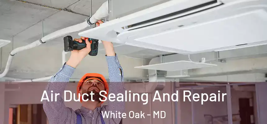  Air Duct Sealing And Repair White Oak - MD