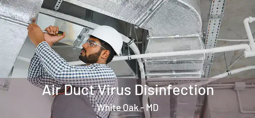 Air Duct Virus Disinfection White Oak - MD