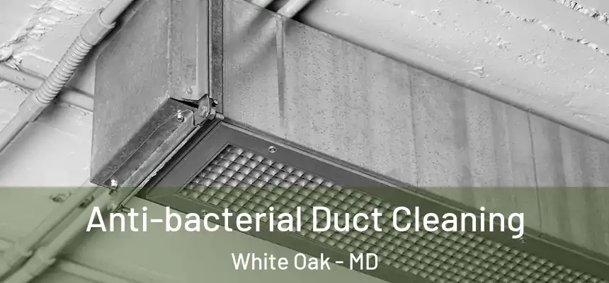  Anti-bacterial Duct Cleaning White Oak - MD