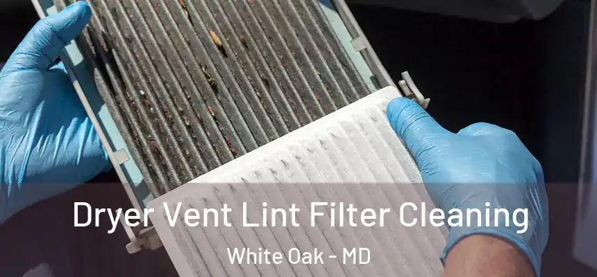  Dryer Vent Lint Filter Cleaning White Oak - MD
