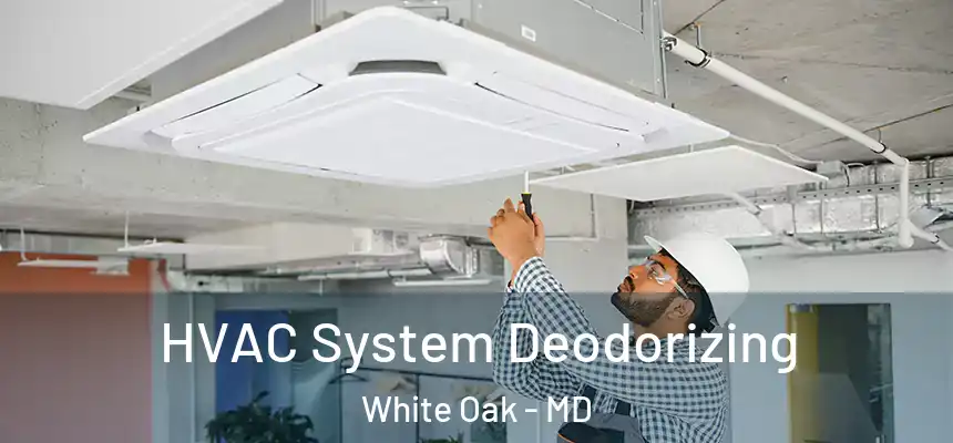  HVAC System Deodorizing White Oak - MD