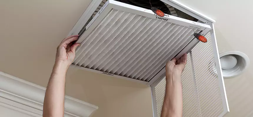 Preventive Cockroach-Proofing for Ducts in White Oak
