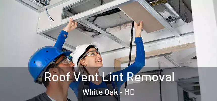  Roof Vent Lint Removal White Oak - MD