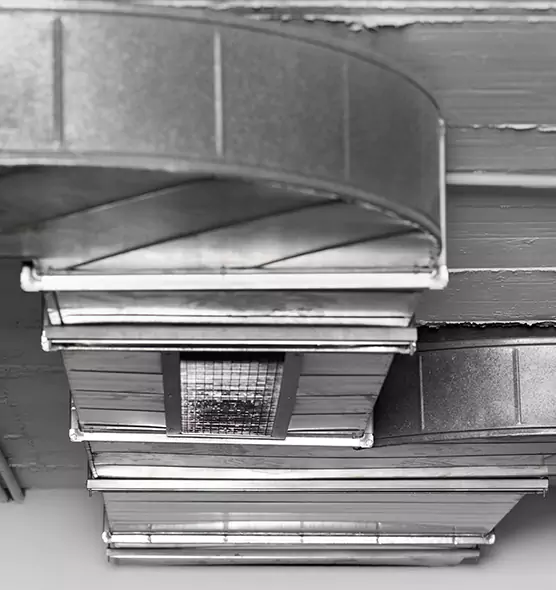 Professional Air Duct Pest Removal in White Oak, MD