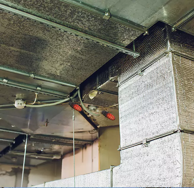 Why Homeowners & Businesses Trust Us in White Oak, MD?