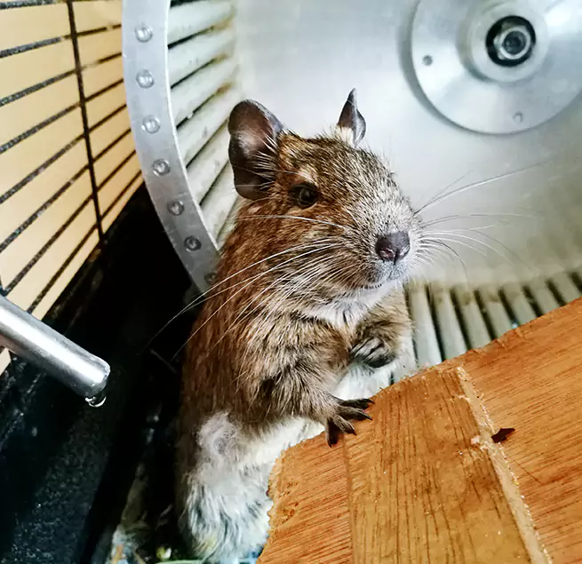 Why Homeowners & Businesses Trust Us White Oak, MD?