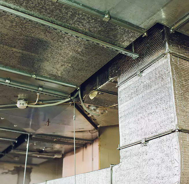 Why Homeowners & Businesses Trust Us in White Oak, MD?